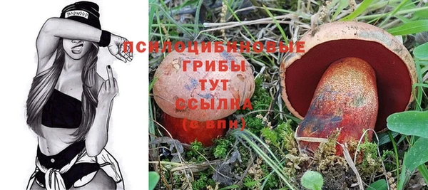 прущий лед Алзамай