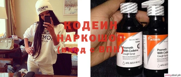 прущий лед Алзамай